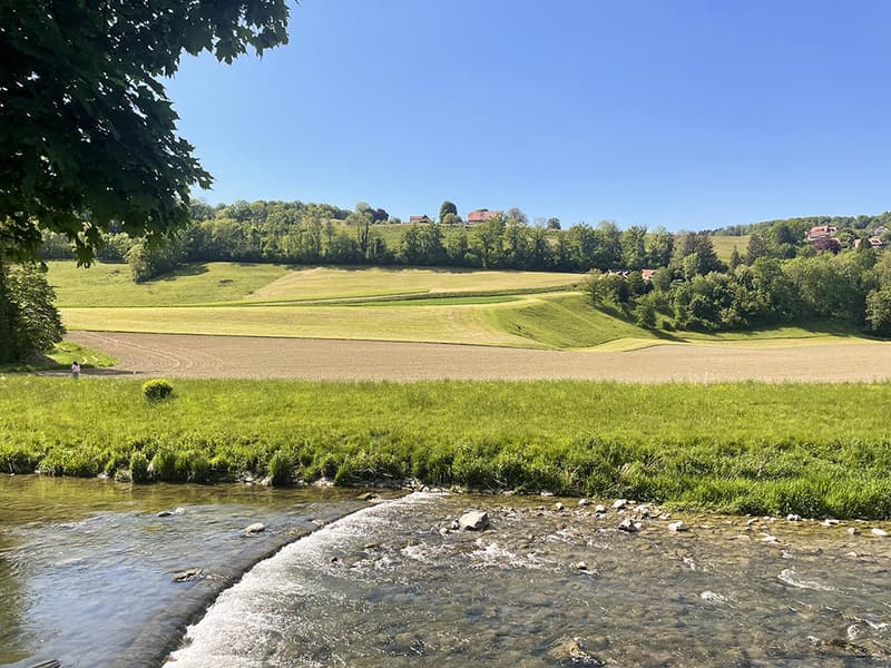 Maison pour investisseur au centre de Moudon (3)