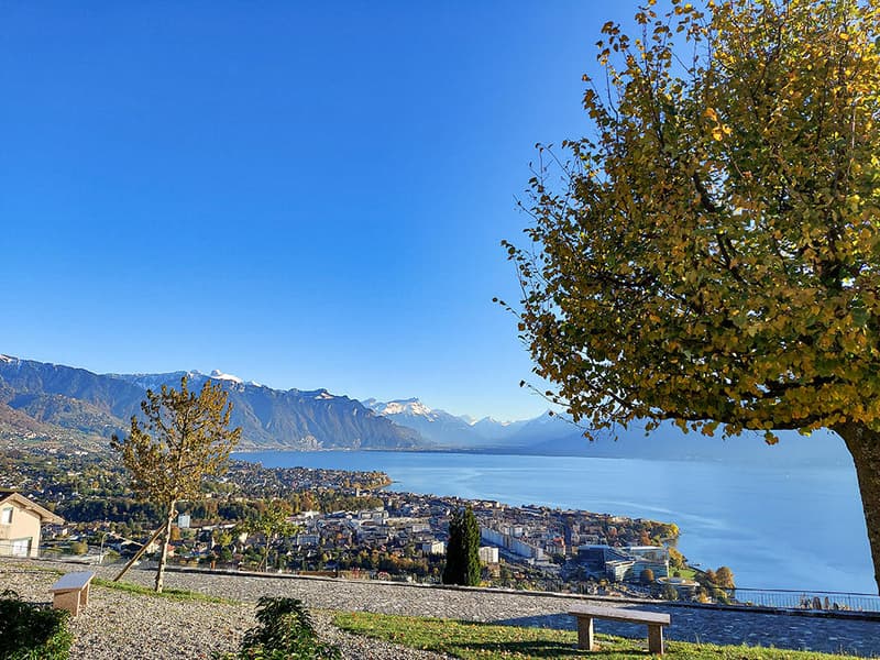 CHARDONNE-EST - VILLA AVEC VUE EPOUSTOUFLANTE (2)