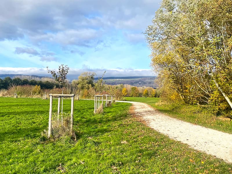 YVERDON-LES-BAINS OUEST - ADORABLE MAISON VILLAGEOISE (4)