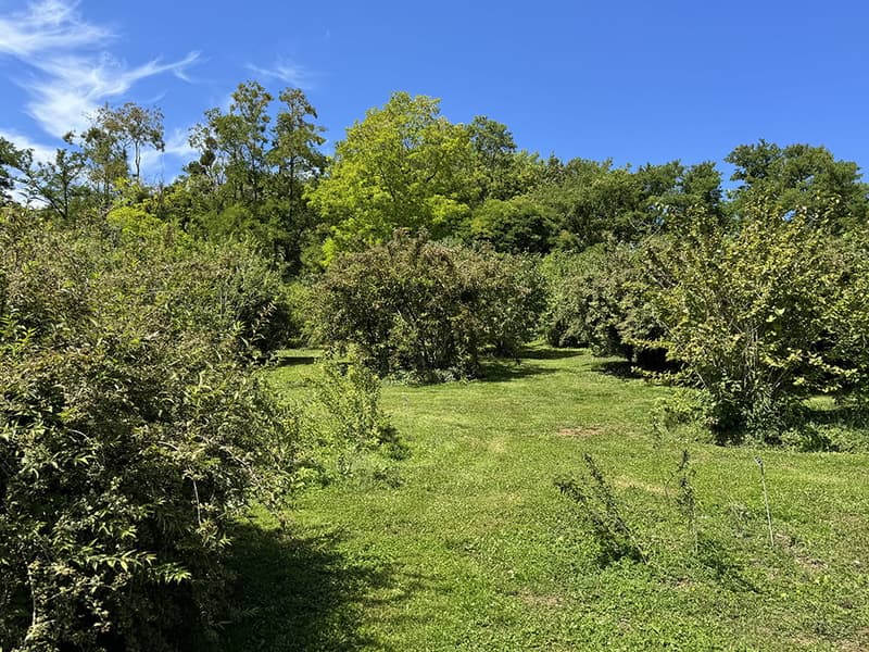 NOUVELLE PROMOTION - Appartements neufs avec terrasses et vue panoramique sur le lac (1)