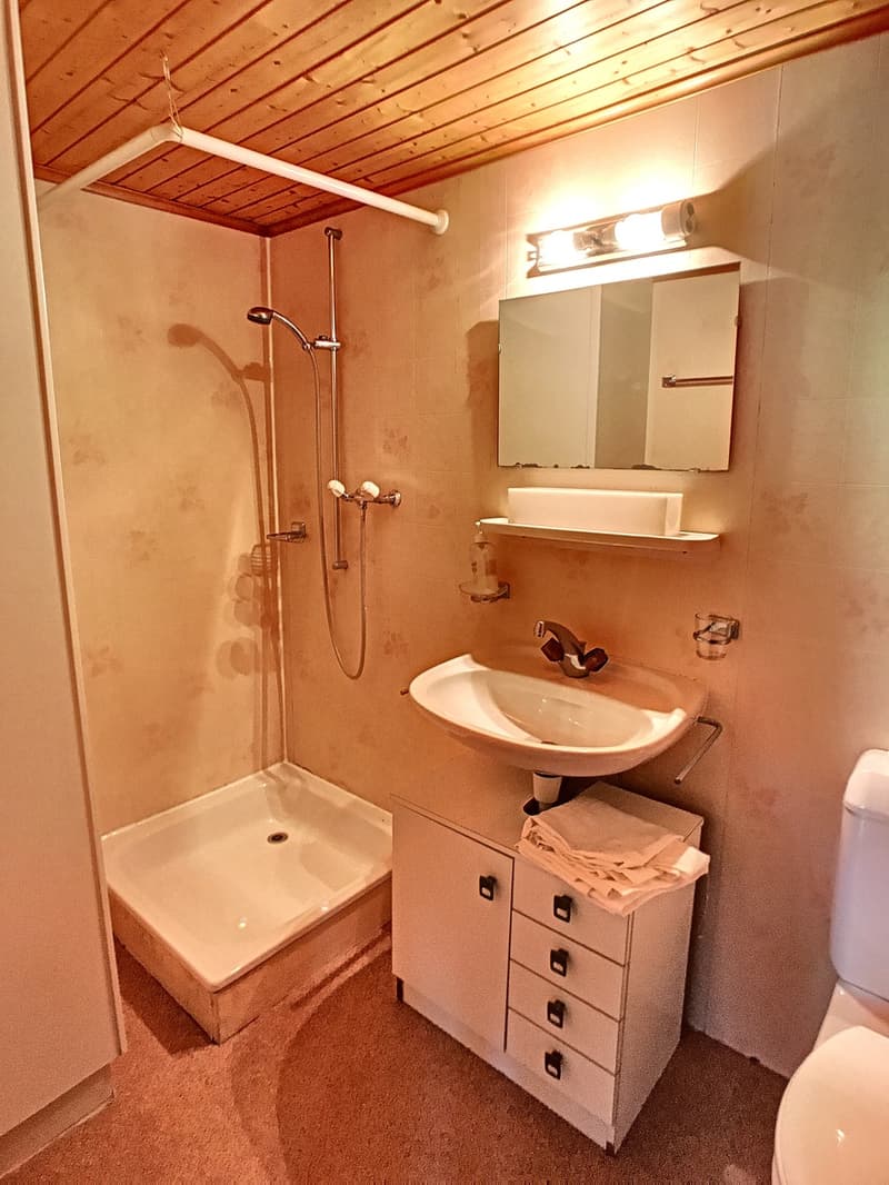 Immeuble mitoyen de 3 appartements (7)