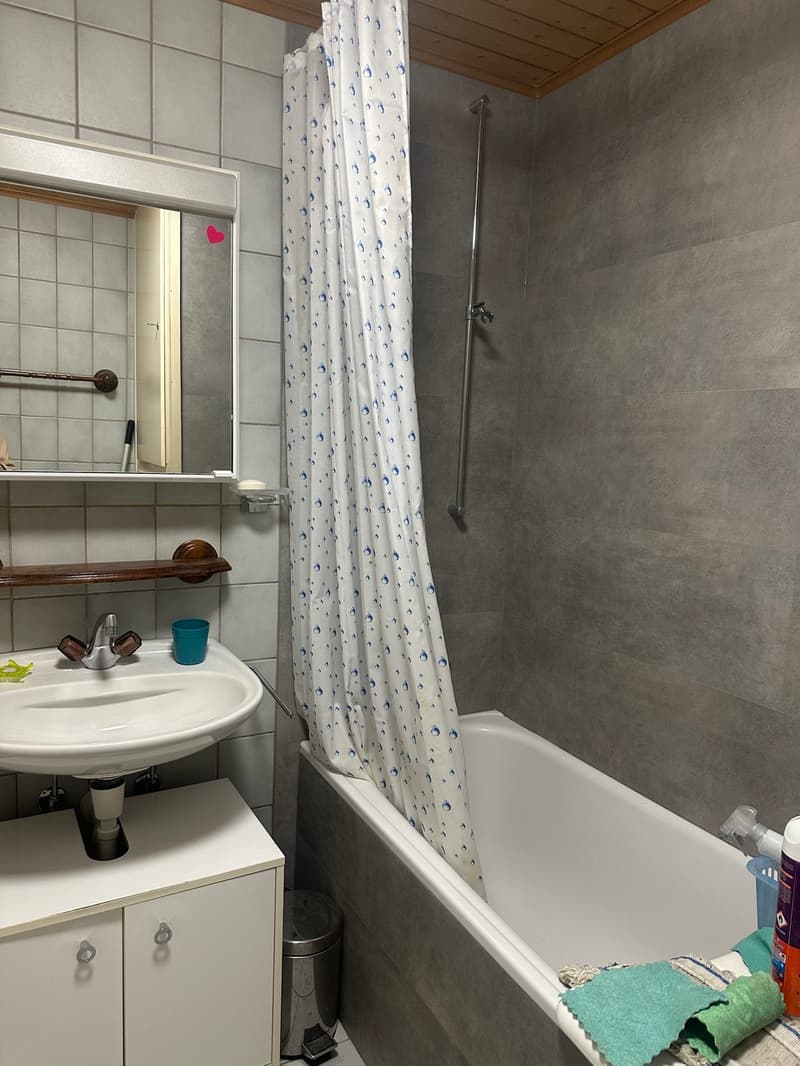 Immeuble mitoyen de 3 appartements (3)
