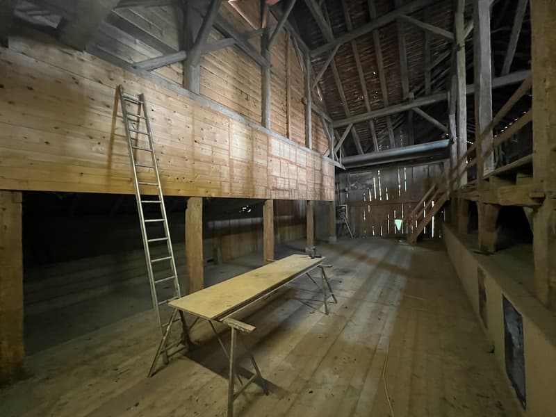 Ferme rénovée 4,5 pièces avec grand rural sur  2 parcelles de 3'109 m2 (10)
