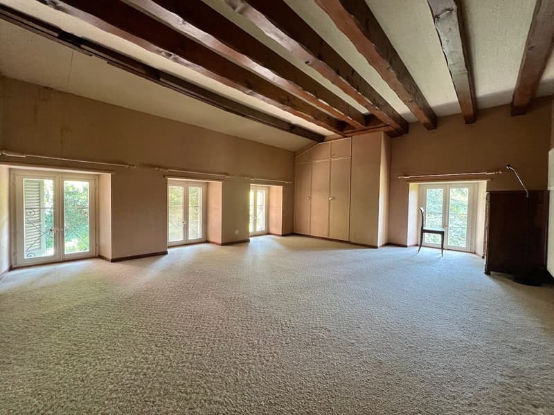 Ferme rénovée 4,5 pièces avec grand rural sur  2 parcelles de 3'109 m2 (9)
