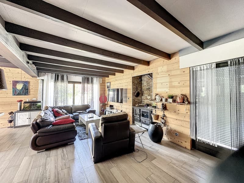 Superbe villa avec piscine + dépôt 200 m2/500 m2 terrain constructible (3)