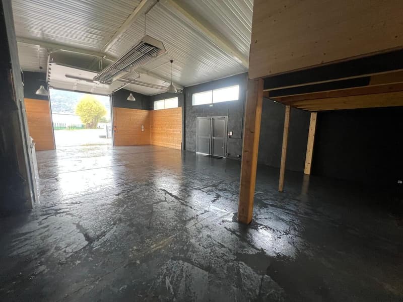 Dépôt 200 m2/500 m2 terrain constructible + Superbe villa avec piscine (3)