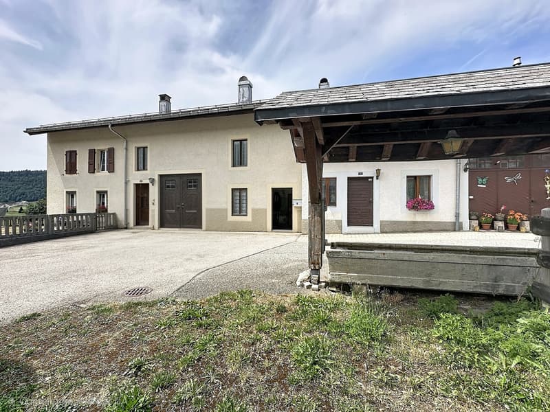 Ancienne ferme mitoyenne rénovée (12)