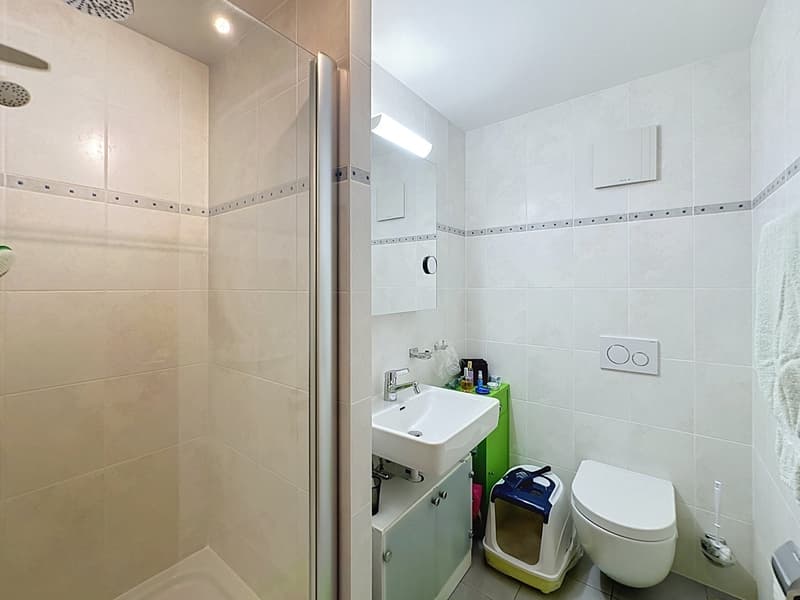 Appartement 5.5 pièces en PPE, 1er étage avec balcon (8)