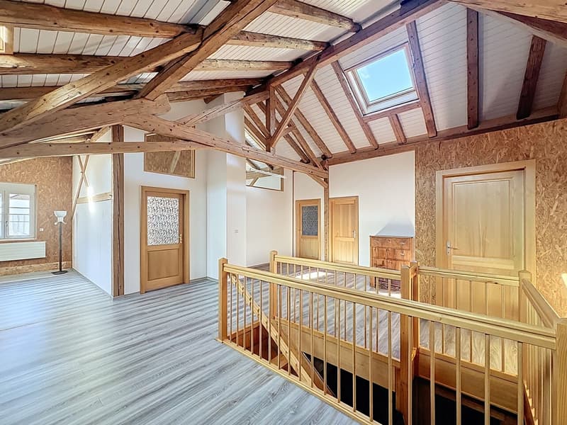 Maison mitoyenne rénovée avec bâtiment 6 studios revenus CHF 52'000.- (1)