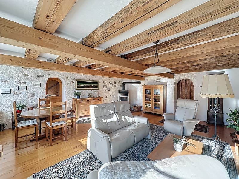 Maison mitoyenne rénovée avec bâtiment 6 studios revenus CHF 52'000.- (7)