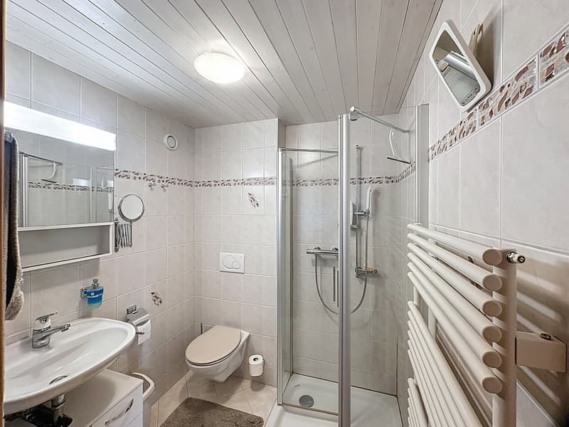 Maison mitoyenne rénovée avec bâtiment 6 studios revenus CHF 52'000.- (12)