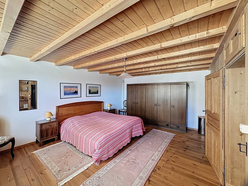 Maison mitoyenne rénovée avec bâtiment 6 studios revenus CHF 52'000.- (11)