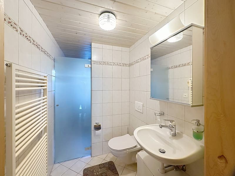 Maison mitoyenne rénovée avec bâtiment 6 studios revenus CHF 52'000.- (9)