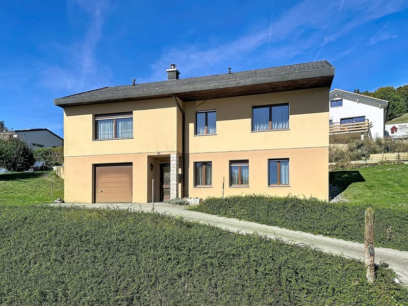 Villa individuelle, potentiel remarquable dans quartier résidentiel (1)