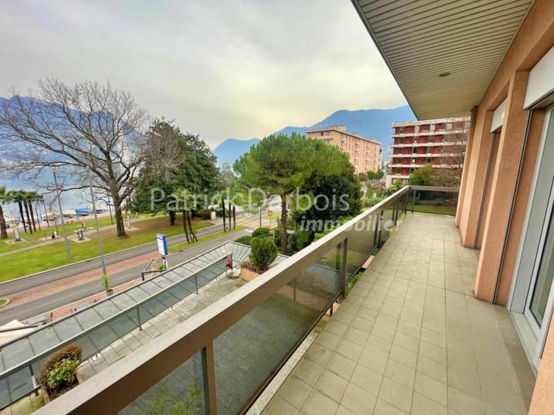 Appartamento di 3,5 locali a Paradiso (10)