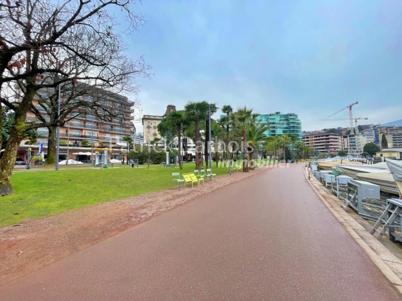 Appartamento di 3,5 locali a Paradiso (54)