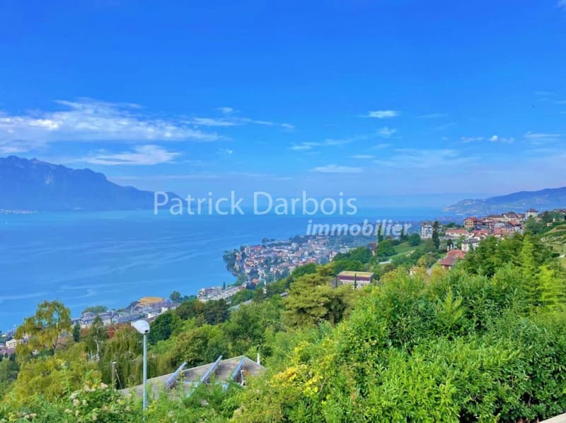 Villa indipendente di 5,5 locali a Chernex (10)