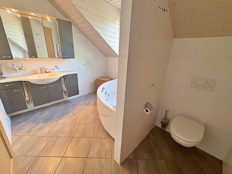 Costruita nel 2007 con materiali di altissima qualità, questa villa spaziosa e luminosa piacerà agli amanti del comfort, dello spazio e della tranquillità. (17)
