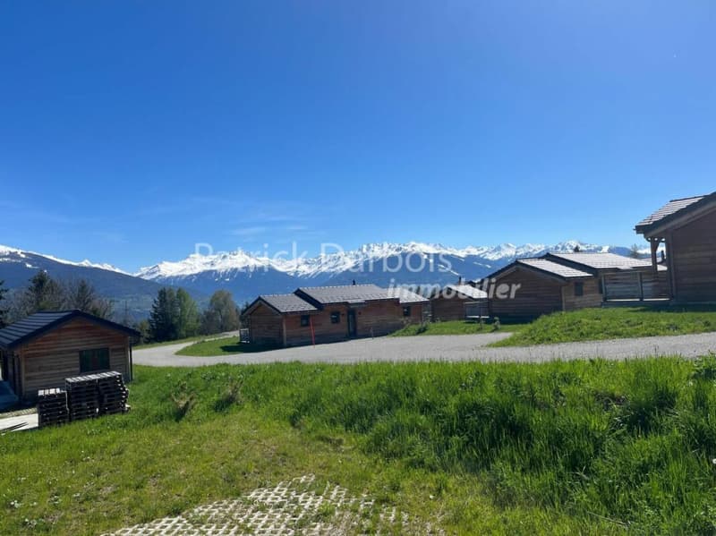 Chalet 4.5 pièces à Anzère (2)
