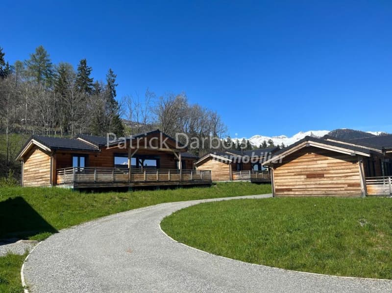 Chalet 4.5 pièces à Anzère (3)