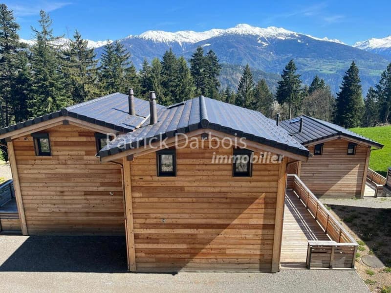 Chalet 3.5 pièces à Anzère (4)