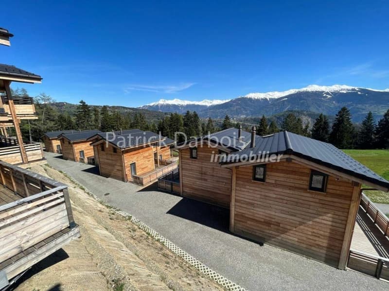 Chalet 3.5 pièces à Anzère (3)