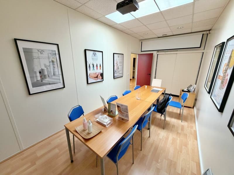 Bureau_local_commercial_Mies (11)