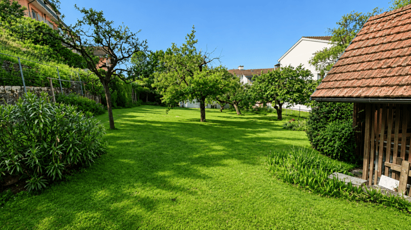 Villa individuelle de caractère avec deux spacieux appartements à proximité du centre-ville (54)