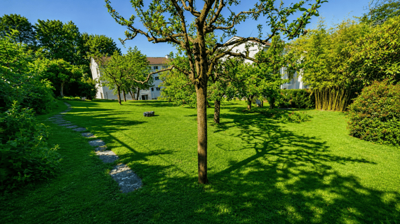 Villa individuelle de caractère avec deux spacieux appartements à proximité du centre-ville (52)