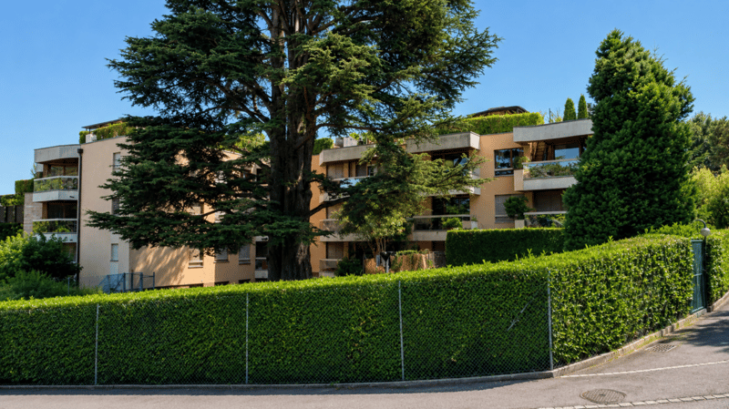 Magnifique attique de 3,5 pièces avec terrasse, rooftop privatif et vue partielle sur le lac - Aux portes de Genève (26)