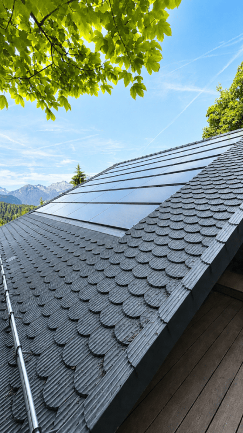 Immeuble avec fort potentiel - 3 appartements - Villars-sur-Ollon (8)
