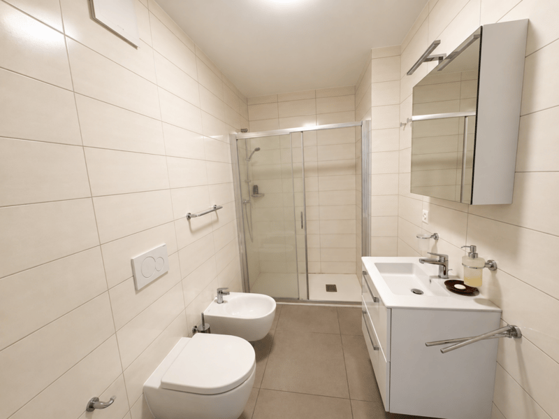 Attraktive 2,5-Zimmer-Gartenwohnung in Manno - moderner Wohnkomfort (11)