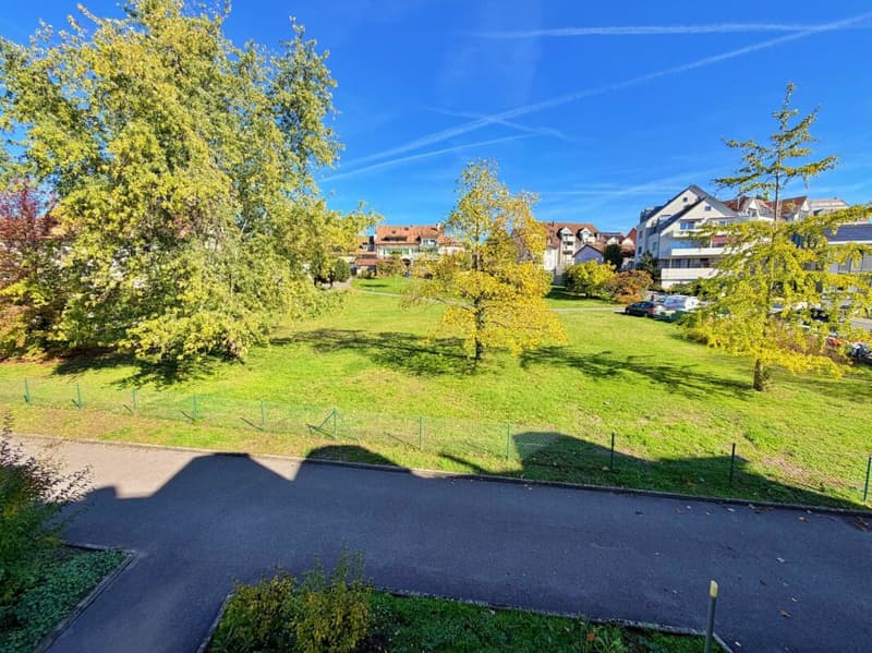 Apartement_Crissier_4.5p (1)