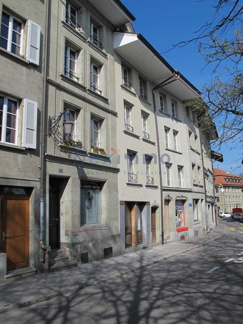 Immeuble au coeur du bourg historique Transformé et rénové en 2019 (1)
