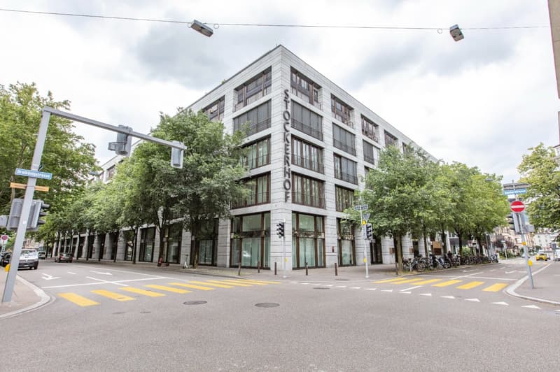 Vollausgebaute Büros zu vermieten an der Dreikönigsstrasse im Züricher Bankenviertel (1)