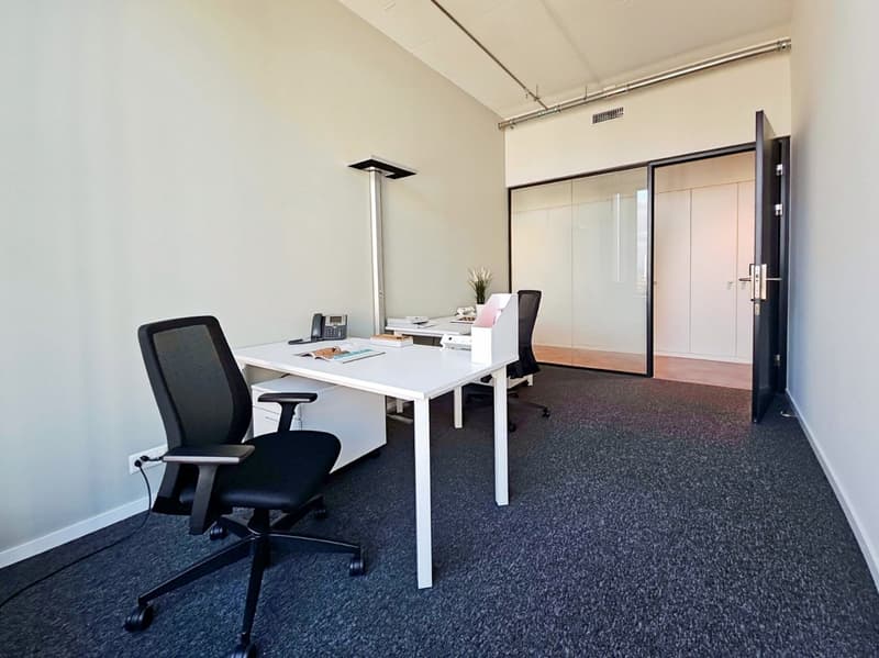 Voll ausgestatteter privater Büroraum für Sie und Ihr Team in Regus Andreaspark (1)