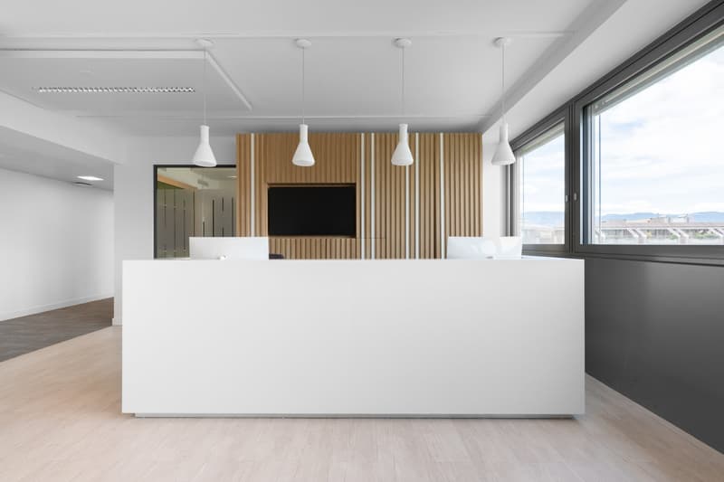 Espace de bureau ouvert pour 10 personnes à Regus Nations (5)