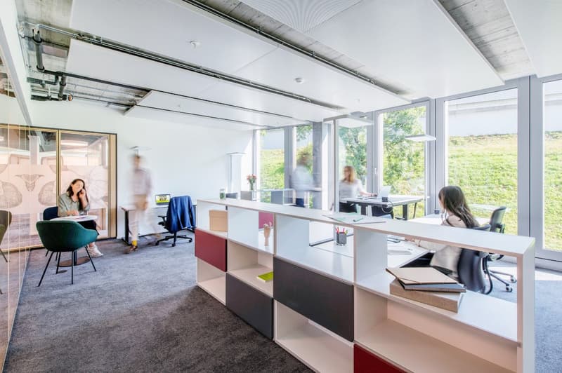 Open-plan office space with large windows providing a view of the surrounding greenery, modern furniture and decor, workstations, and a relaxation area with a chair
