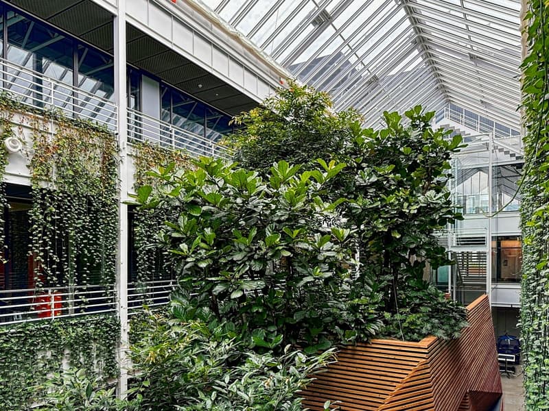 Large glass atrium with lush greenery, including trees and shrubs. Wooden benches are visible, providing seating areas. The glass ceiling and walls allow natural light to flood the space, creating a serene and tranquil environment.