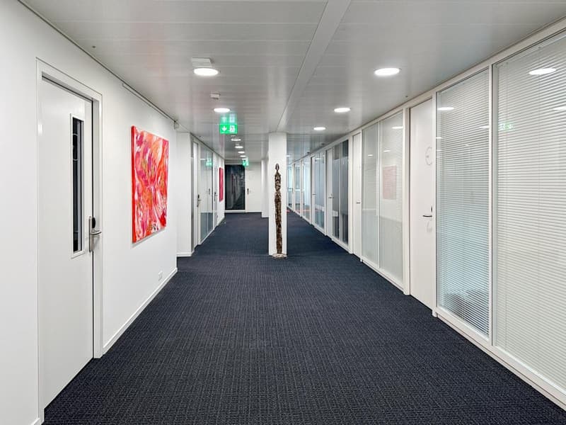 Empty hallway with carpet, ceiling lights, artwork on the wall, glass doors