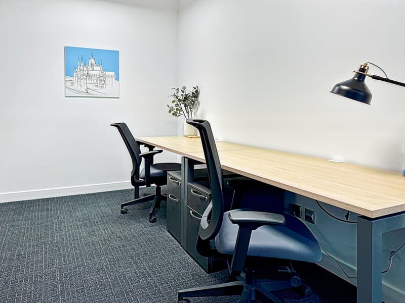 Desk, office chair, office lamp, file cabinets, carpeted floor, picture frame