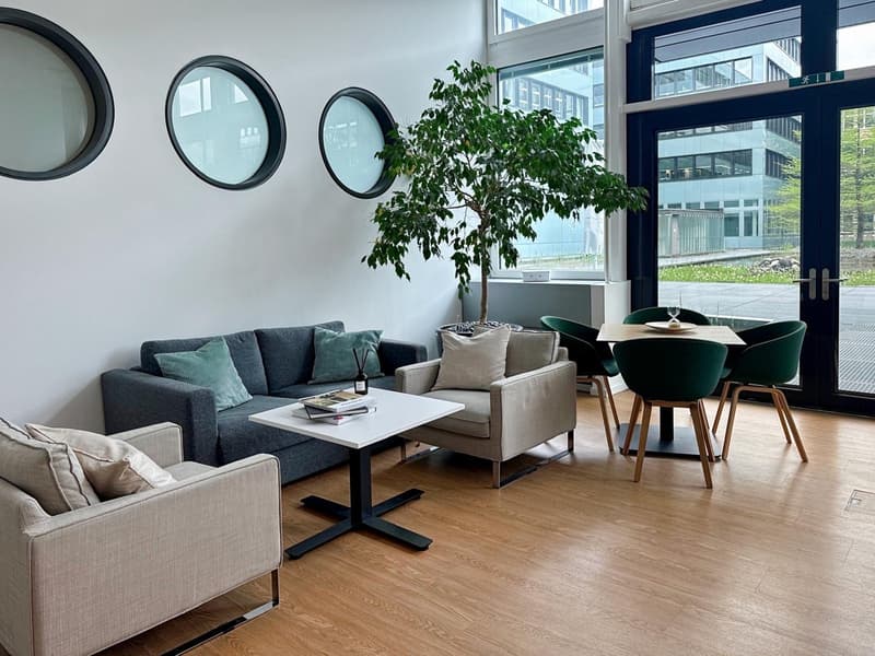 Spacious living room with large windows, grey sofa, beige armchair, wooden dining table and green chairs, potted plant, and round wall mirrors