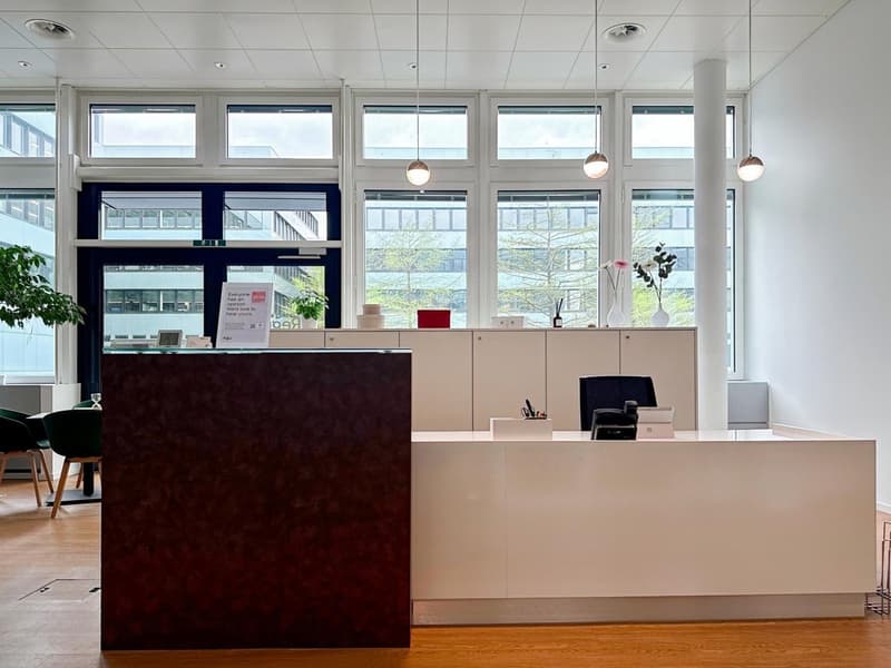 Associazione per uffici flessibili a Regus Sihlcity (4)