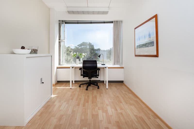 minimalist office, desk, office chair, vase, painting, storage cabinet