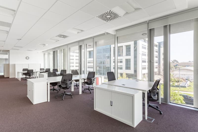 Empty office with desks and office chairs facing the window, carpet flooring, glass walls, white cabinets