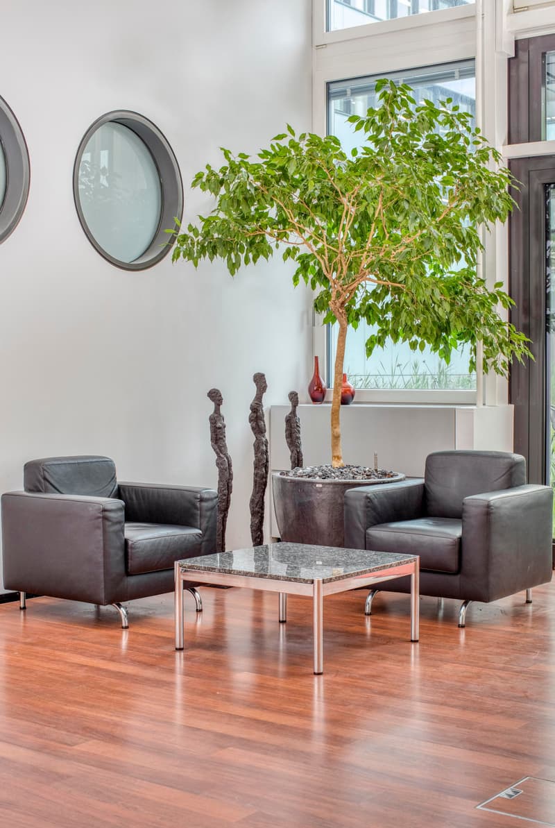 The image shows a modern and minimalist living room with hardwood floors, large windows, and a potted tree. The room features two black leather armchairs and a square marble coffee table. There are also two abstract sculptures on the table and a red vase