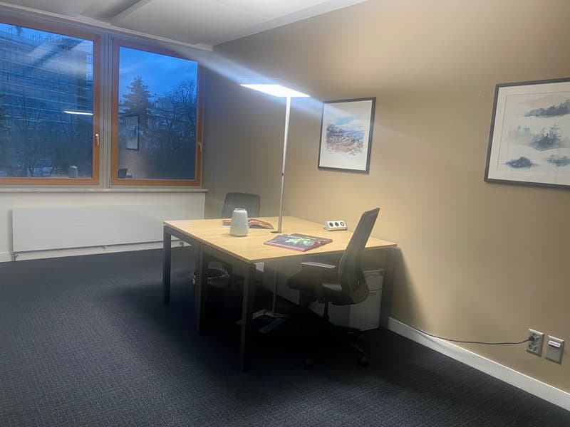 Office room with desk, chairs, radiator, pictures, lamp, and electrical outlets