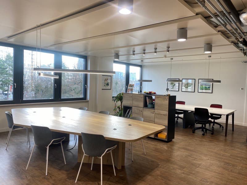 large conference room, long wooden table, chairs, cabinets, windows, plants, ceiling lights