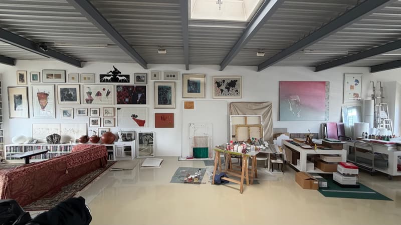 Exclusivité : Atelier/loft au coeur de Sécheron (11)