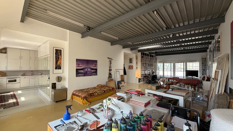 Exclusivité : Atelier/loft au coeur de Sécheron (1)